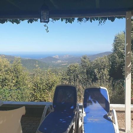Vos vacances à Lama  Extérieur photo