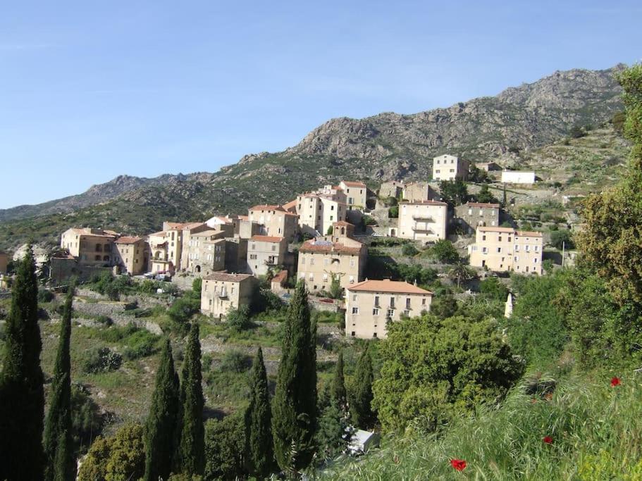 Vos vacances à Lama  Extérieur photo