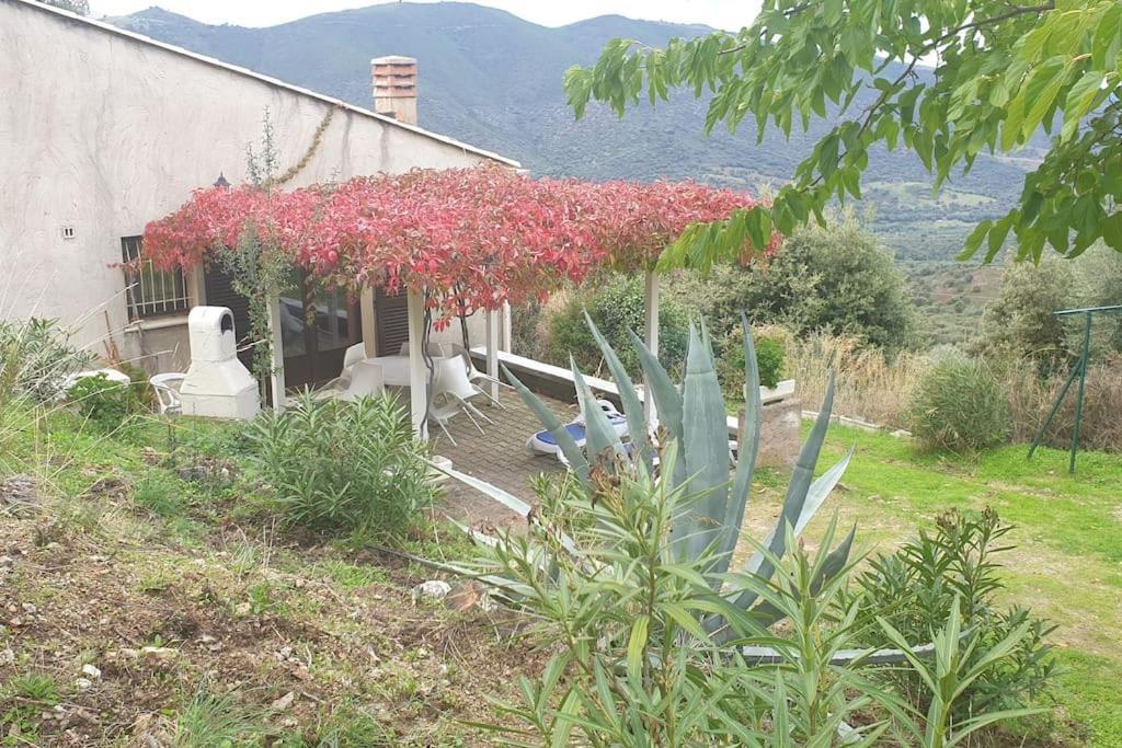 Vos vacances à Lama  Extérieur photo